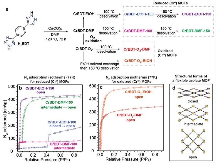 (a) Synthesis of CrBDT MOFs. (b) and (c) N2 adsorption isotherms of reduced and oxidized CrBDT MOFs. (d) Structural forms of a flexible MOF.