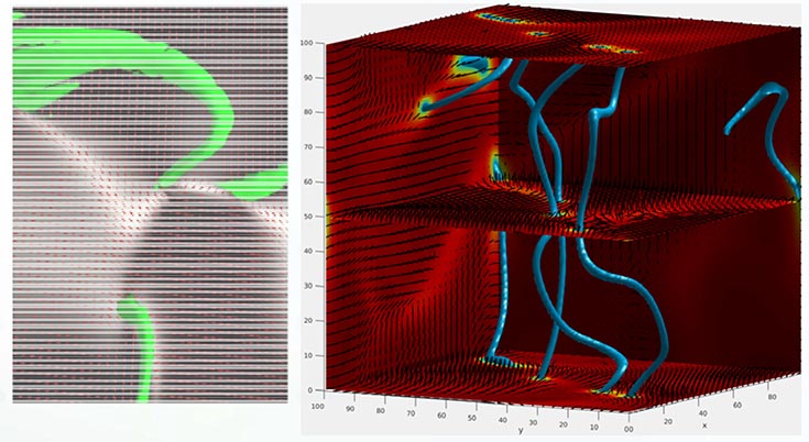 MRSEC 3D active nematics