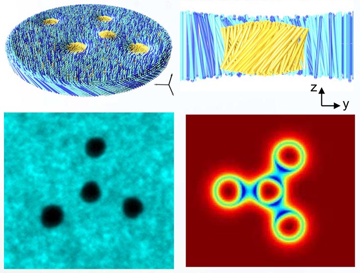 Top: Schematics of membrane rafts from above and from the side. Bottom Left: Fluorescence image of four rafts assembled in a tetramer formation. Bottom Right: Heatmap showing a numerical calculation for the degree of tilt for a similar configuration.