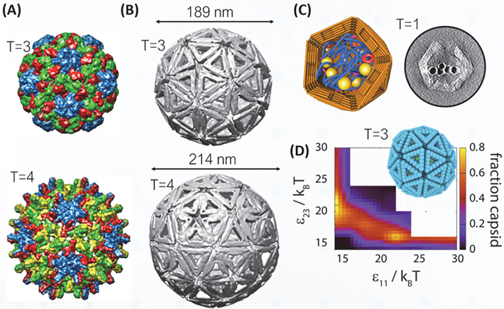 Colorful spheres