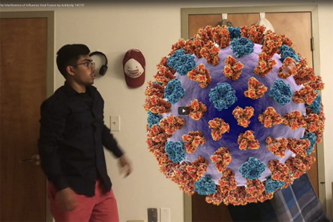 2018 Runner up Dhruv Dang for "Investigating the Interference of Influenza Viral Fusion by Antibody 'HC19'"