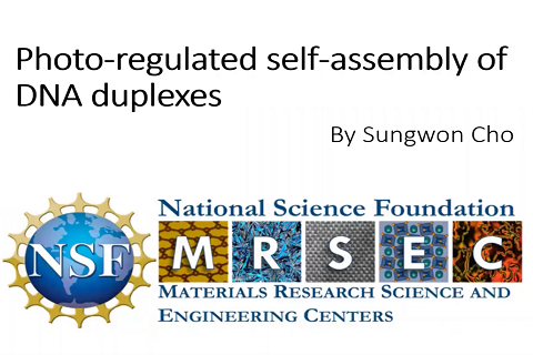 Photo-regulated self-assembly of DNA duplexes - Sungwon Cho