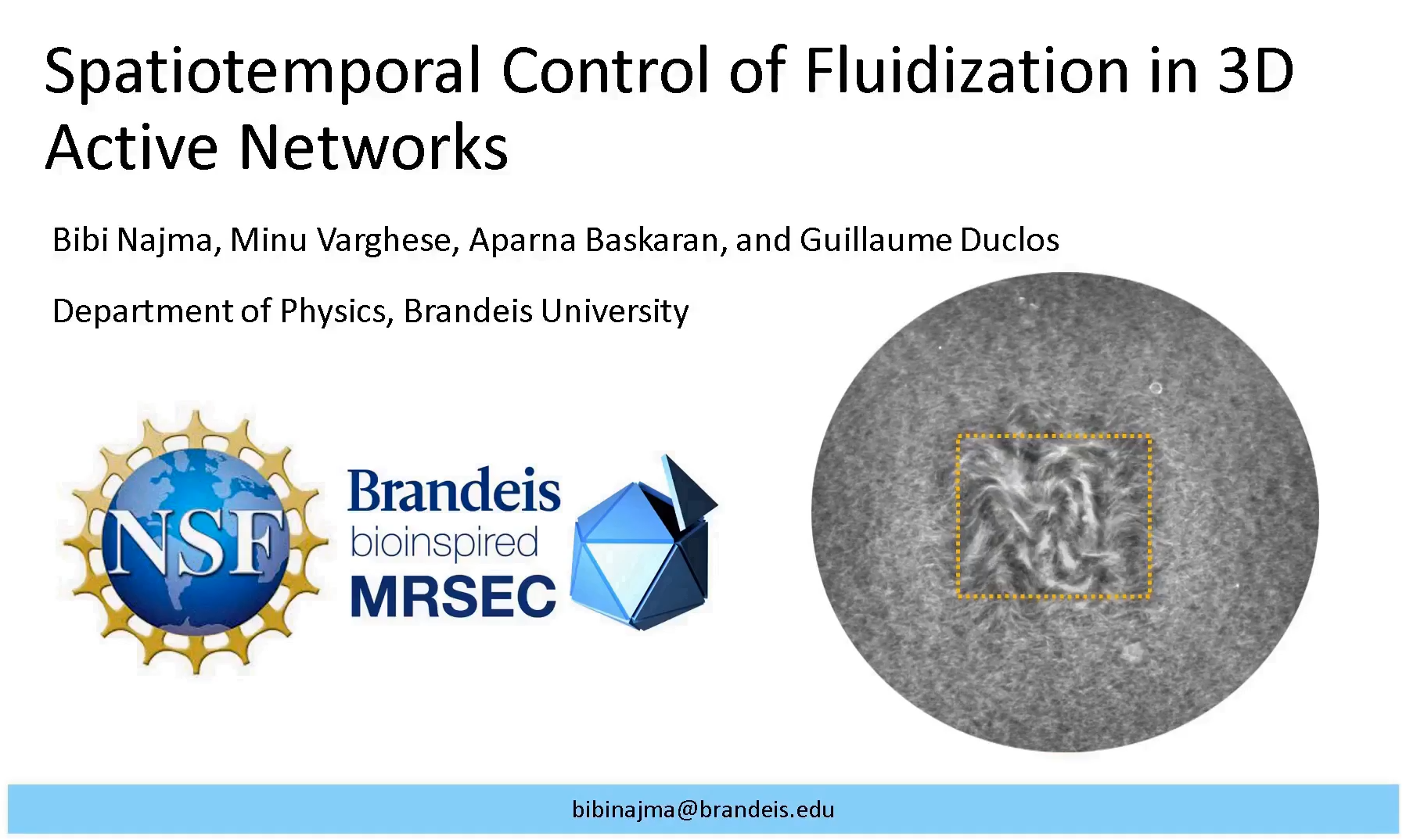 2022 Winner: Graduate student Bibi Najma for "Spatiotemporal Control of Fluidization in 3D Active Networks"