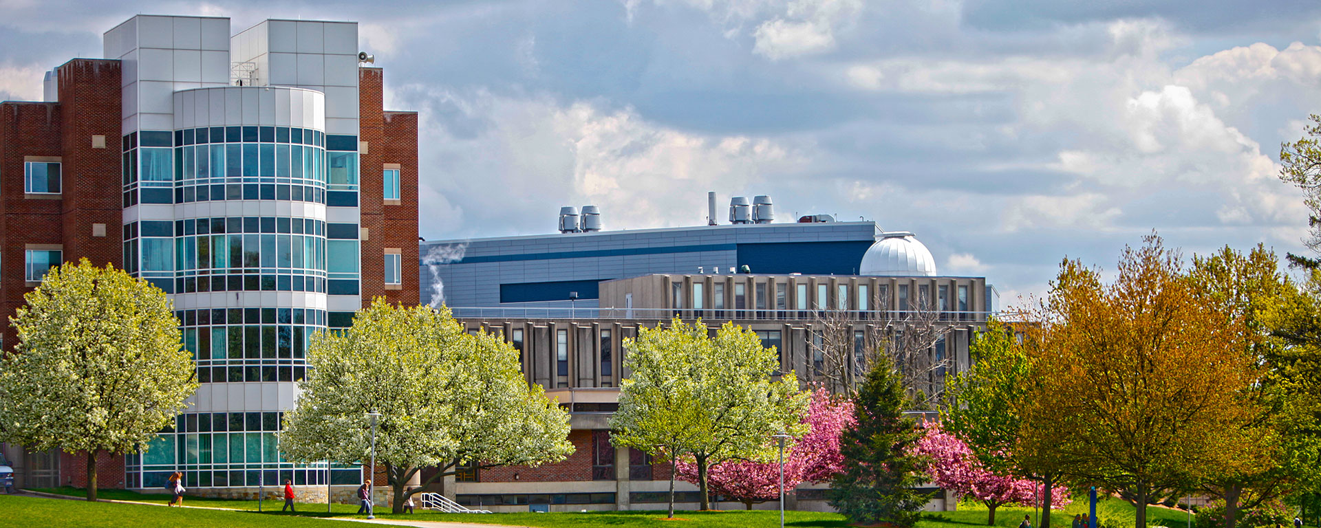 Buildings on the Brandeis campus in the springtime