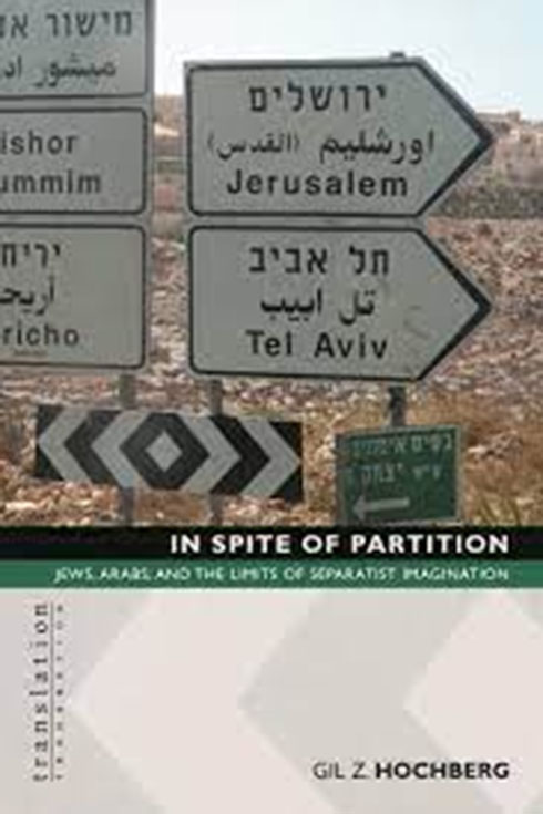 In Spite of Partition by Gil Z. Hochberg book cover.