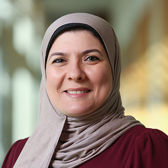Hanan El-Sayed Khashaba