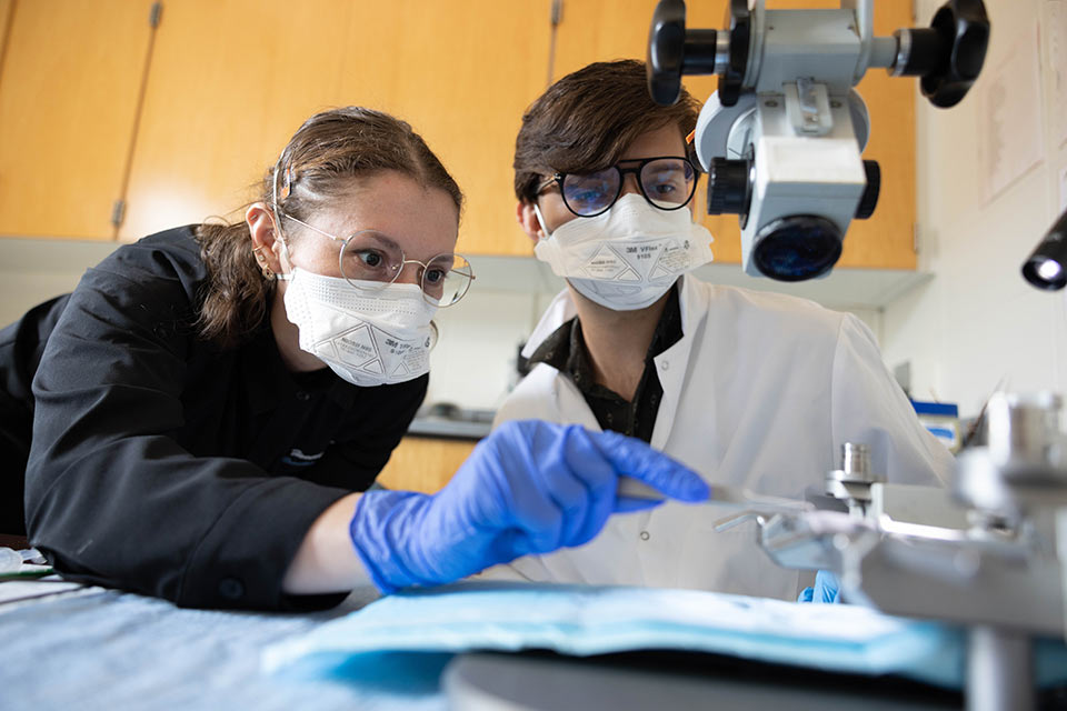 Two students wearing masks working in a neuroscience lab