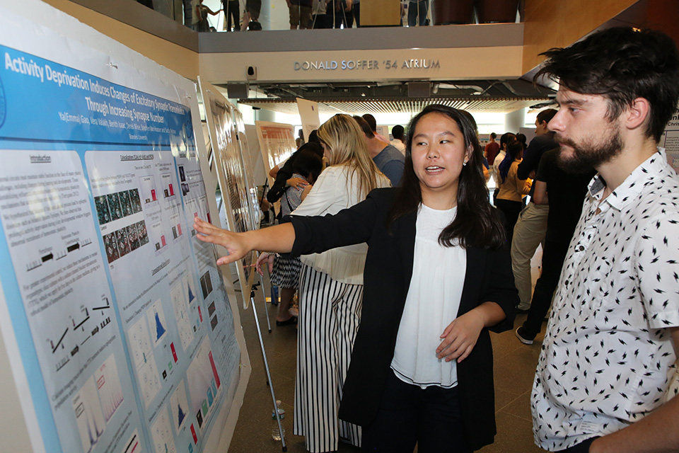 Undergraduate student presenting at SciFest 2018