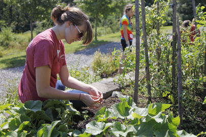 Gardening at the Stanley School