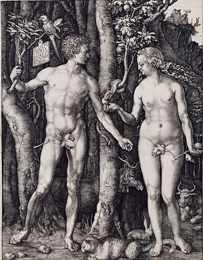 durer