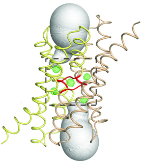 Bpe-L2 structure