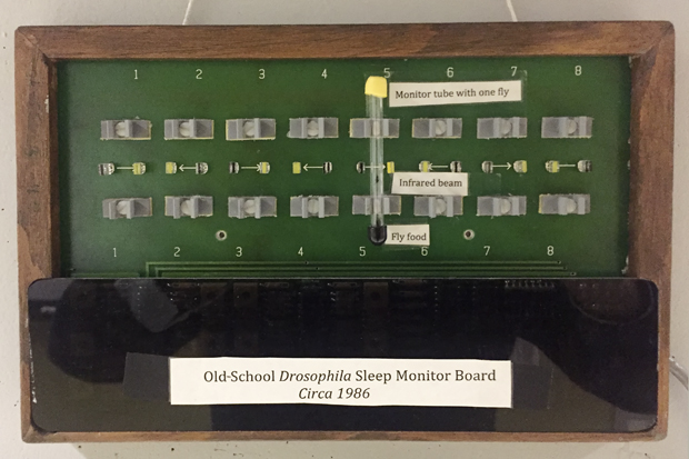 A fruit fly sleep detection machine used in Michael Rosbash and Jeffery Hall's old laboratories, donated to the Nobel Museum's permanent exhibit in 2017