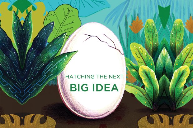 Illustration of big, hatching egg with the words "hatching the next big idea"