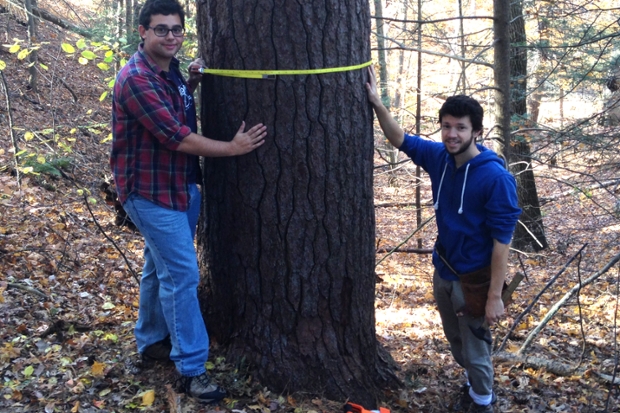 David Chernak ’17, Mike Devito ’16 measure a hemlock to show growth