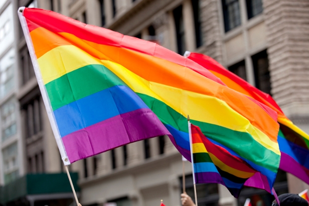 rainbow flags being carried aloft past a building