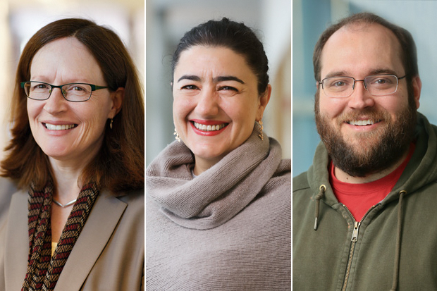 Elizabeth Brainerd, Naghmeh Sohrabi and Keith Merrill