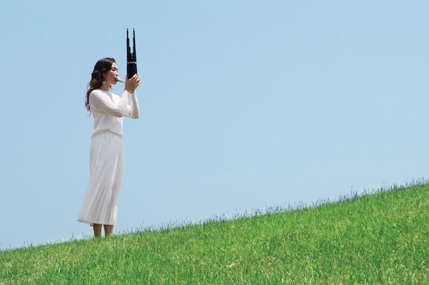 gamin playing a flute in a field.