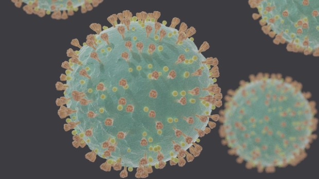 Image of the coronavirus