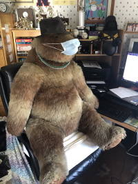 Teddy bear with face mask 