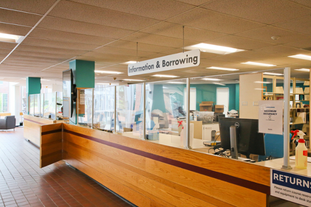 borrowing and information at Brandeis library