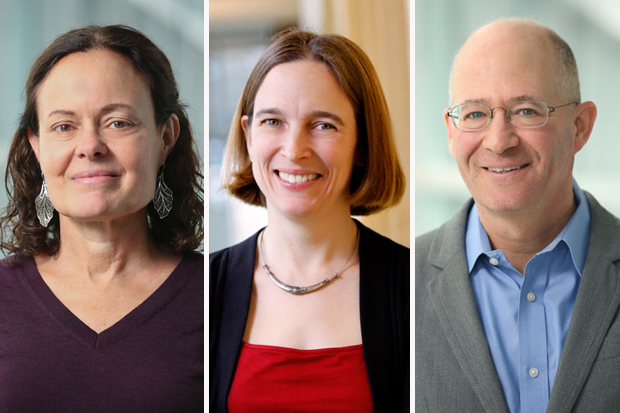 headshots of professors Sarah Lamb, Wendy Cadge and John Plotz 