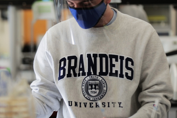 brandeis sweatshirt