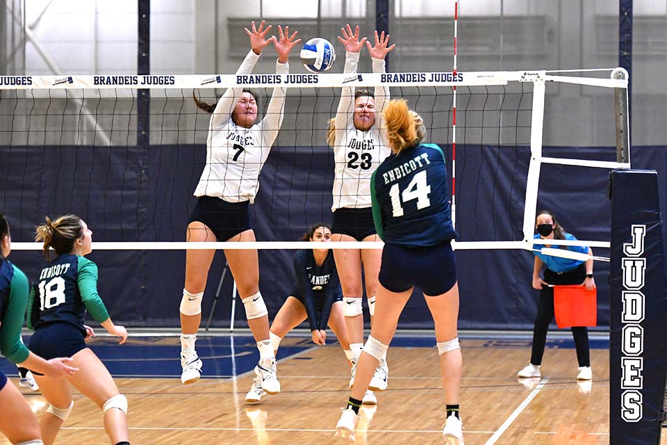 Brandeis women's volleyball players leap to block a shot from Endicott College