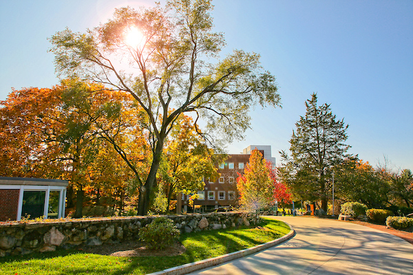 The sun shining through bright fall leaves looking up a campus pathway