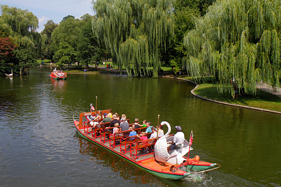 Swan Boats in Boston Common