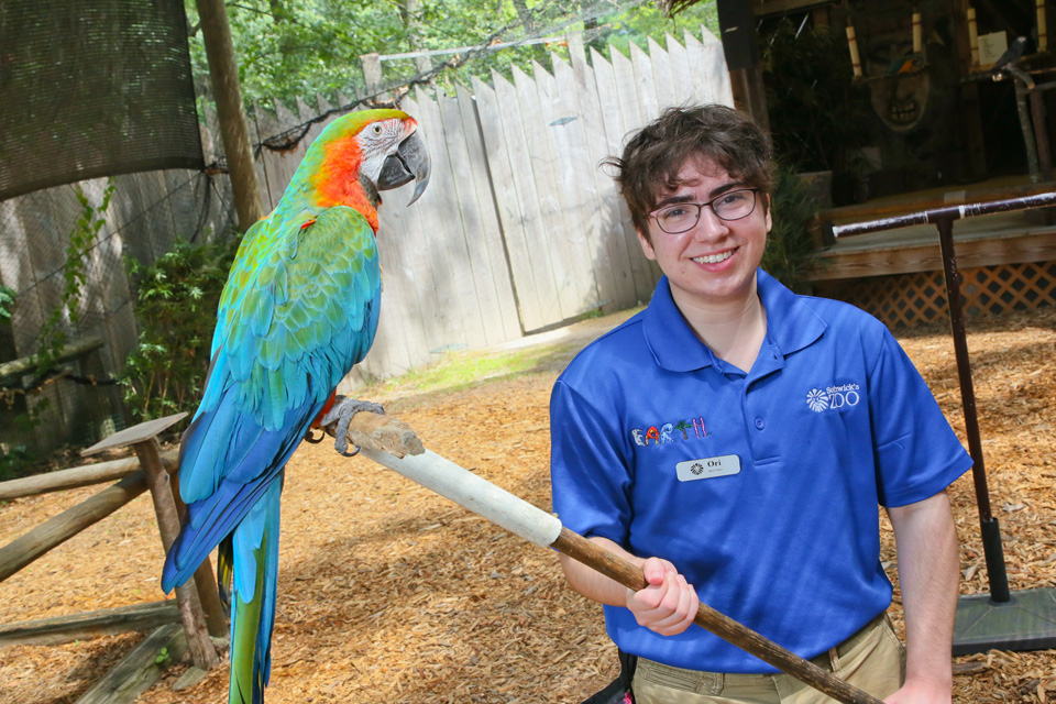 Ori Cohen posed with Sydney, a colorful mccaw