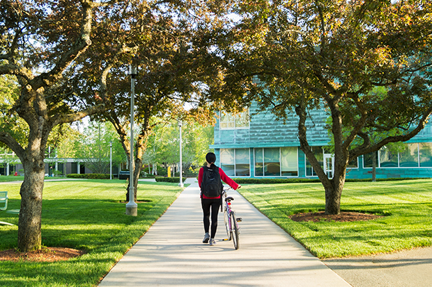 Walking with Bike