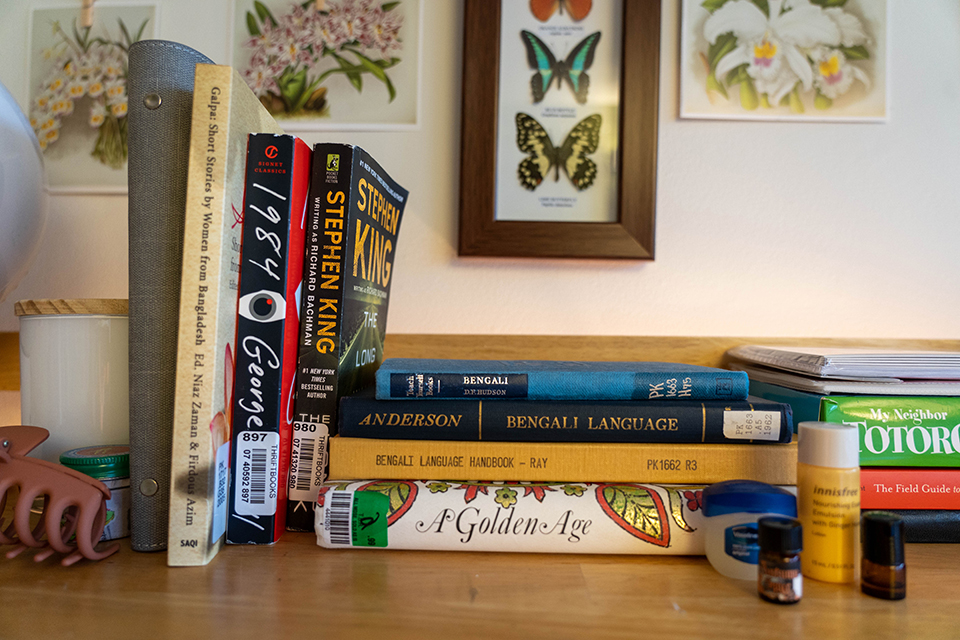 Rubaiya has many books among her room.