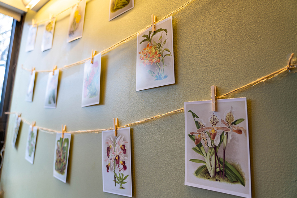 Rubaiya has postcards across her wall in her room.