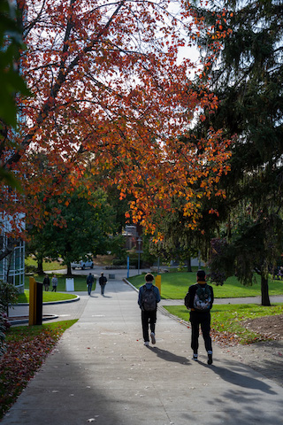 science complex foliage