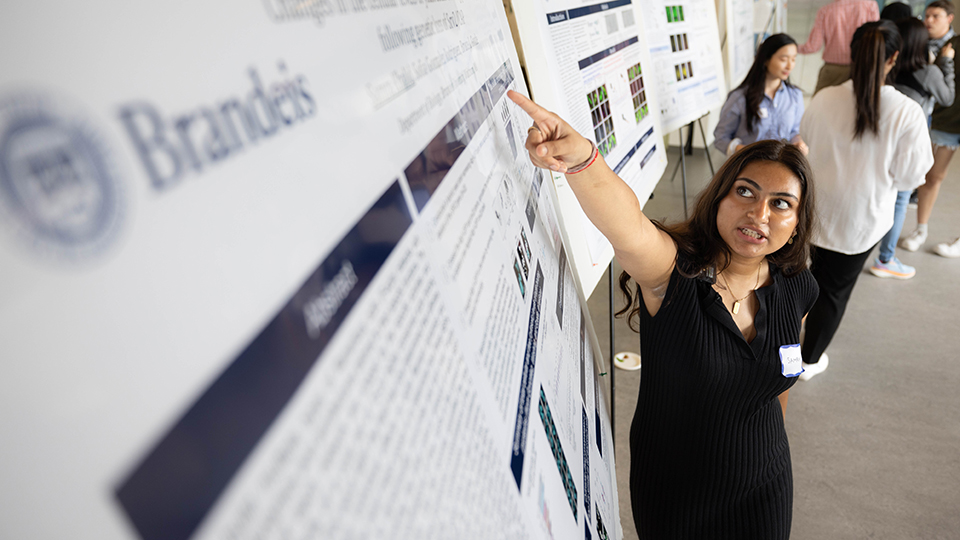 Samra points are her poster board