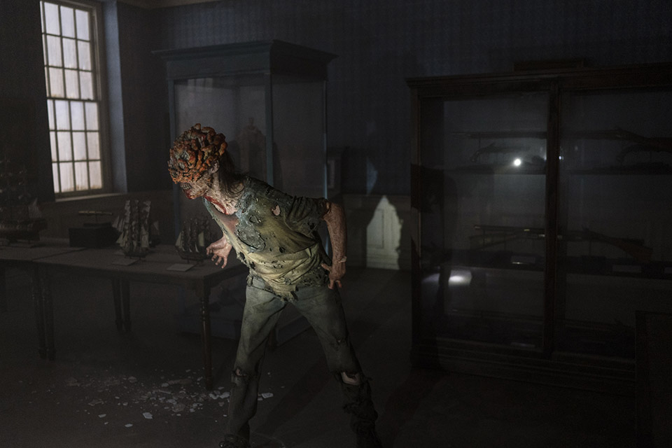 The Last of Us Zombie