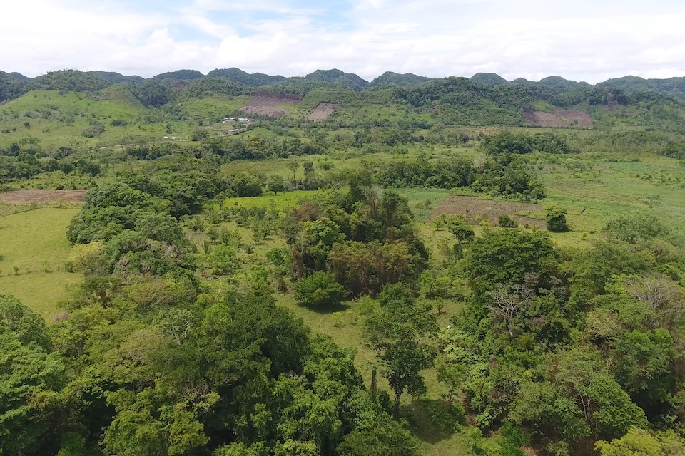 Aerial view of the area once comprising Sak Tz'i'