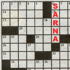 Sarna crossword