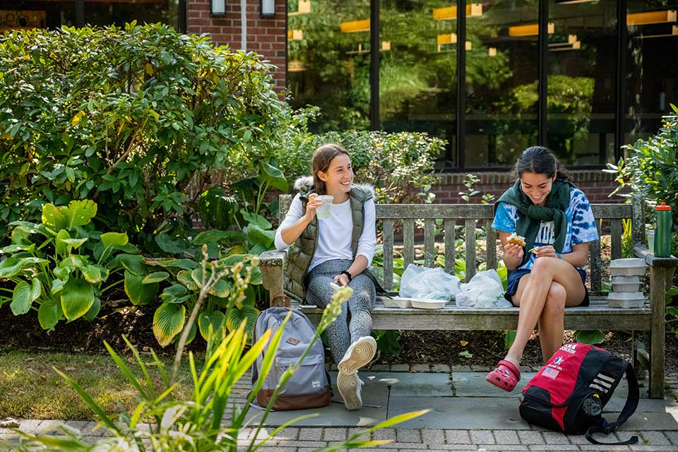 Students studying together in a dorm room