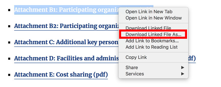Webpage with Download Linked File outlined in a red rectangle