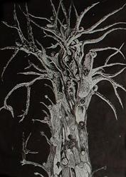 Black and white photo of a tree
