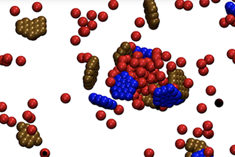 Multistep Assembly of a Microcompartment Encapsulating Hundreds of Molecules (I)