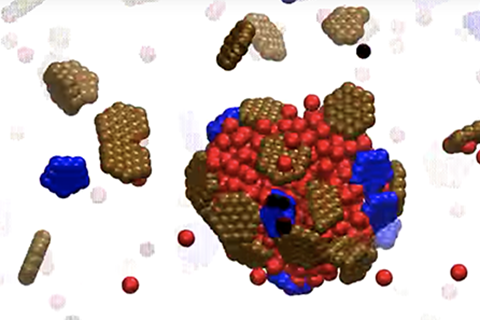 Multistep Assembly of a Microcompartment Encapsulating Hundreds of Molecules (II)