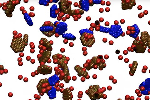 Assembly of a Microcompartment and Encapsulation of Hundreds of Diffuse Cargo Molecules