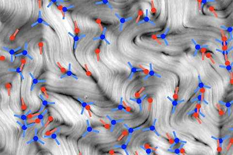 Orientational order of motile defects in active nematics