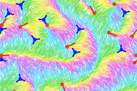 Orientational order of motile defects in active nematics II