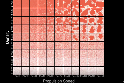 Motility-driven phase separation of repulsive self-propelled spheres in 2D