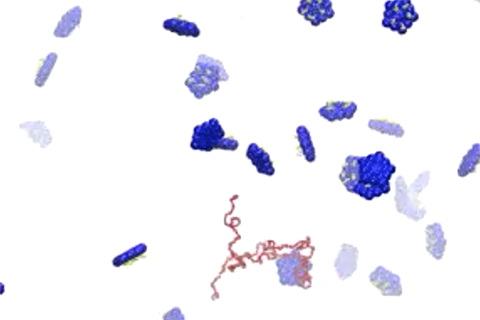 Capsid Assembly Around a Linear Polyelectrolyte