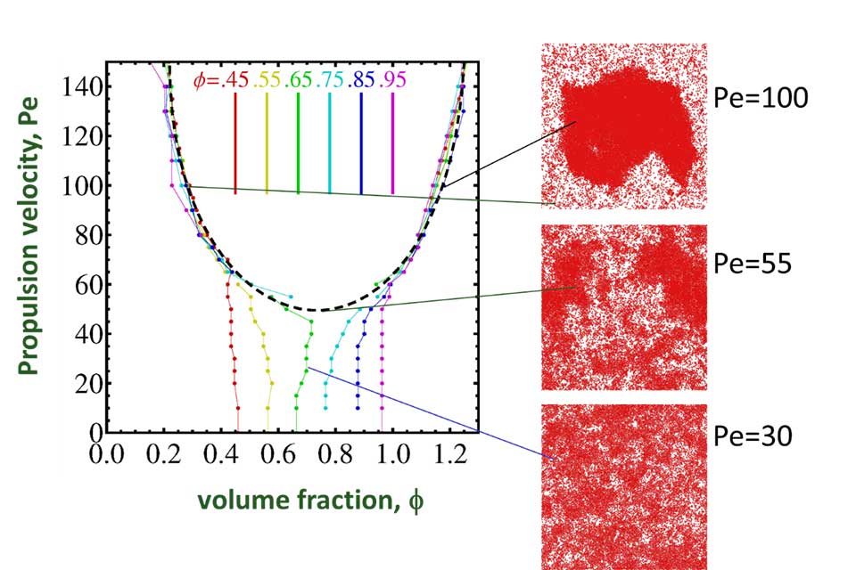 Computer simulations predict that self-propelled spheres in 2D undergo phase separation.