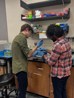 Two undergraduate students working in a lab